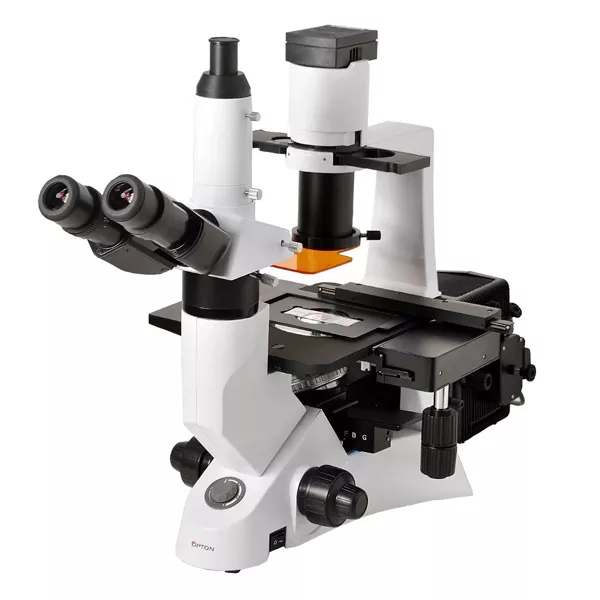 Microscópio de Imunofluorescência Modelo Convencional