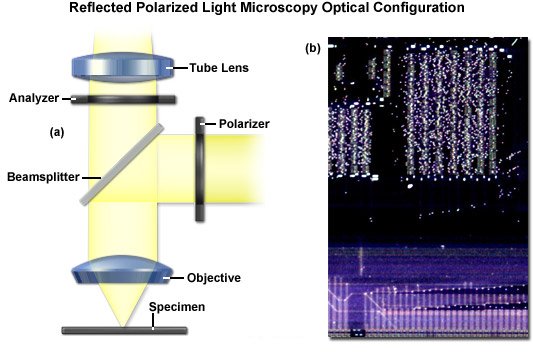  Microscopia de Luz Polarizada