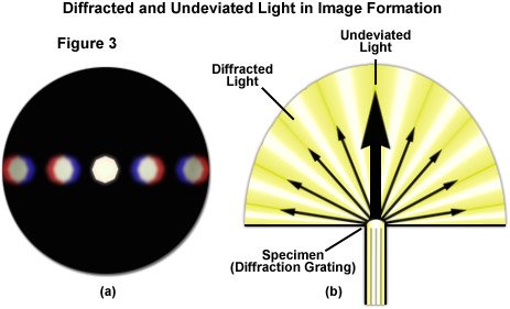 Espectros de difração e luz central