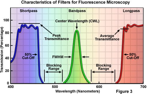 Esquema de um microscópio de fluorescência com filtros e luzes de excitação.